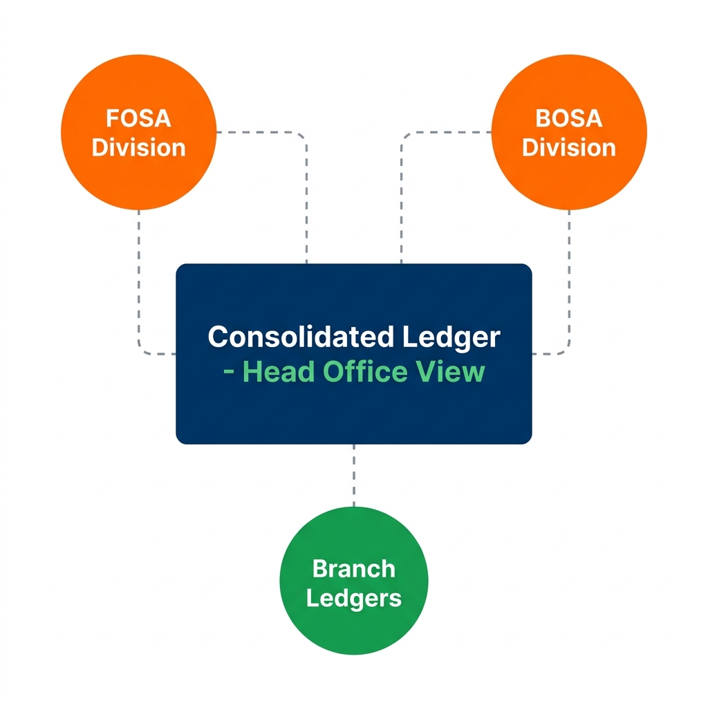 Multi-branch sacco accounting consolidation diagram showing FOSA, BOSA and branch ledgers feeding into a consolidated head office view