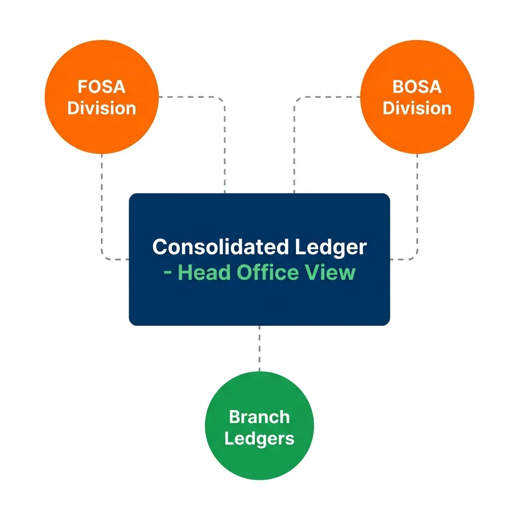 Multi-branch sacco accounting consolidation diagram showing FOSA, BOSA and branch ledgers feeding into a consolidated head office view